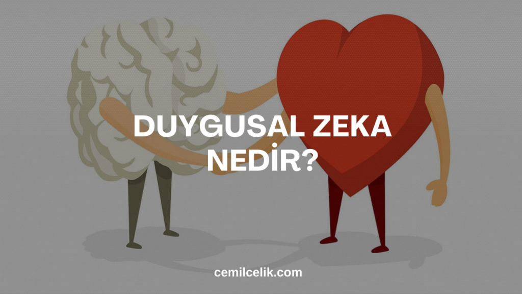 Duygusal Zeka Nedir?
