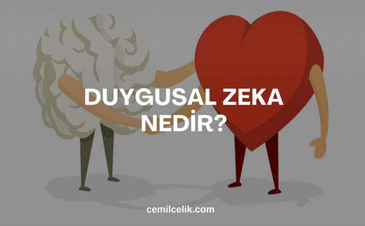  Duygusal Zeka Nedir?