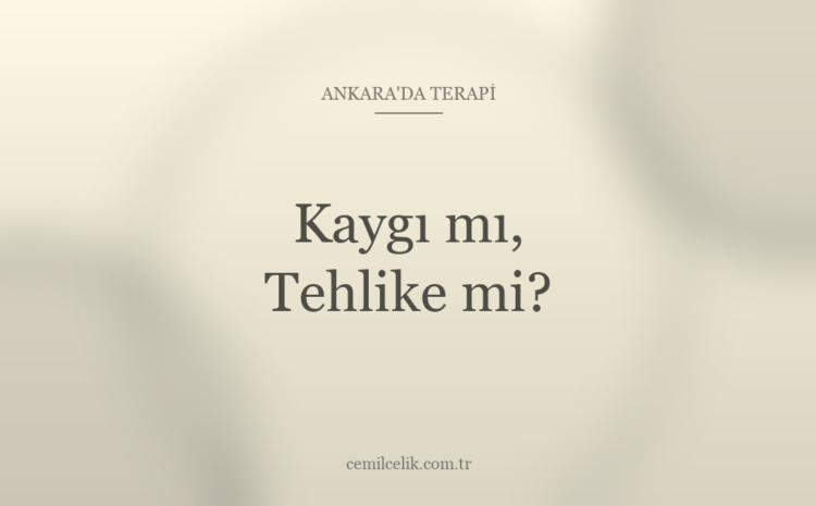  Ankara’da Kaygı mı, Tehlike mi?